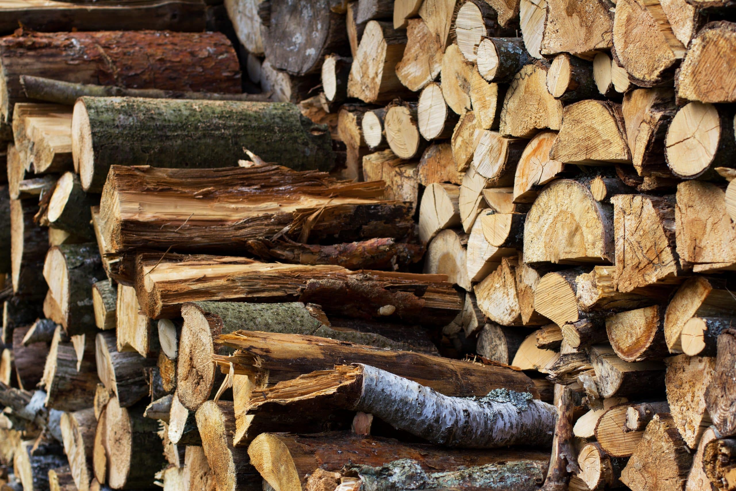 Prix d'un stère de bois en 33 cm en novembre 2024 Tarifs livré