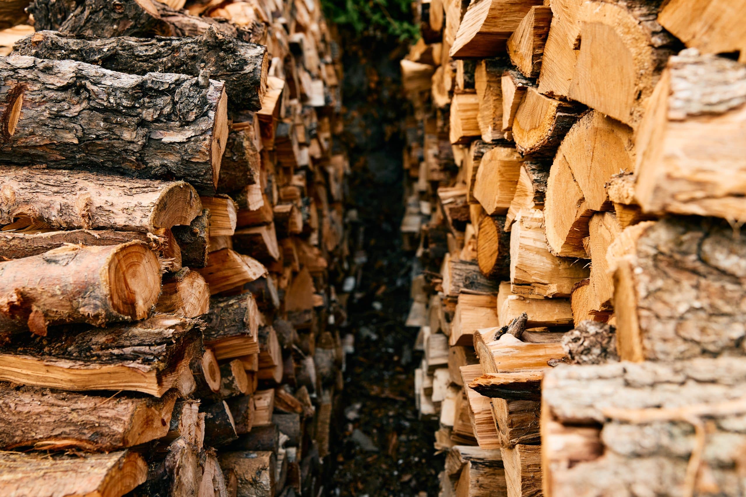 Prix d'un stère de bois en 40 cm en novembre 2024 Tarifs livré