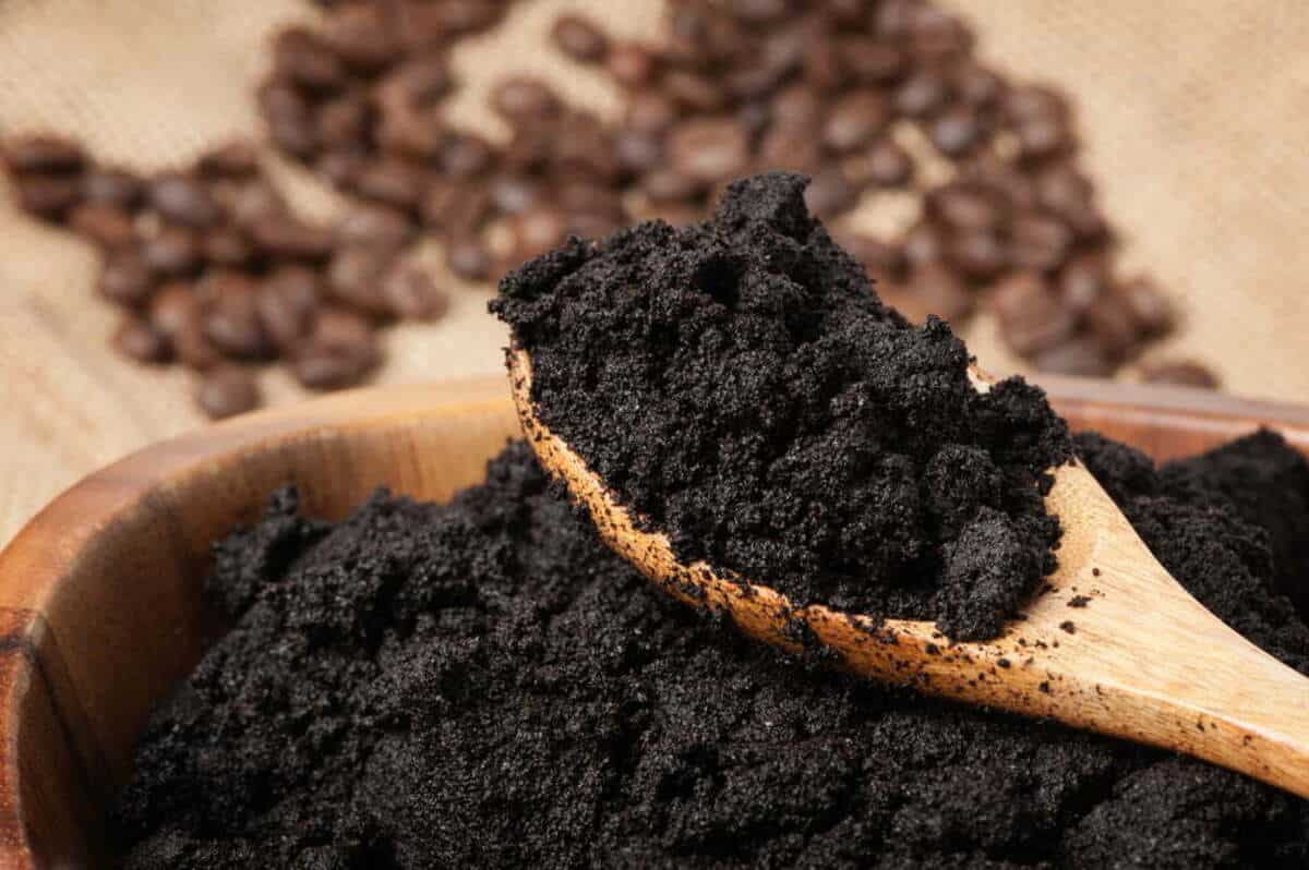 comment utiliser le marc de café pour nettoyer les canalisations