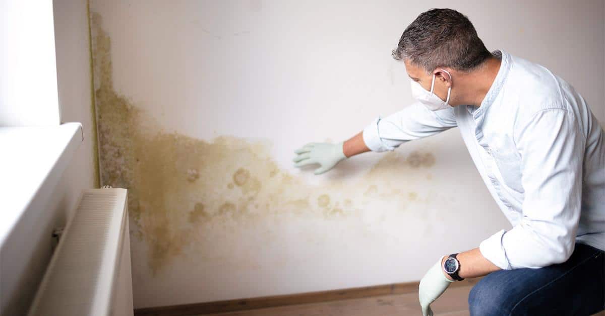 humidité dans la chambre origines, causes et solutions