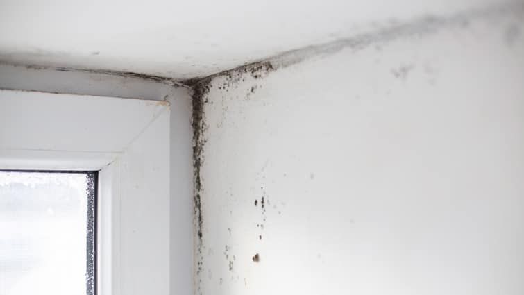 humidité dans la chambre