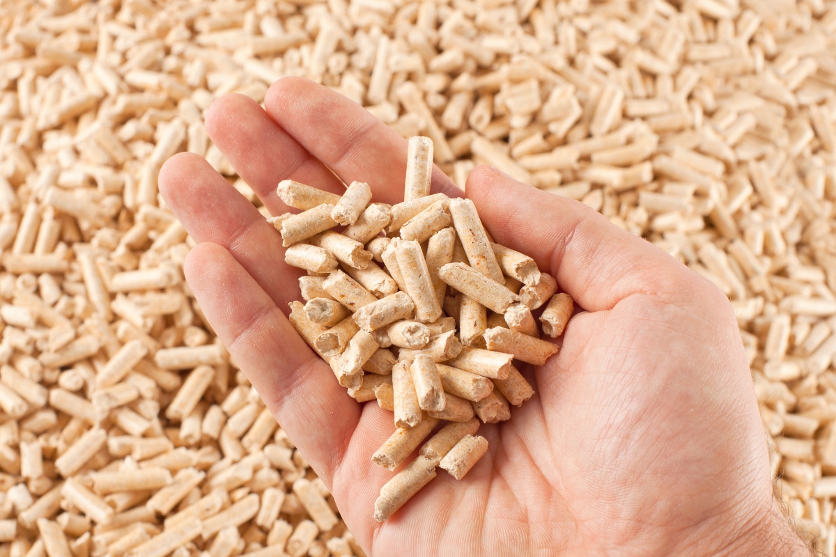 pellets de bois brico dépôt casse le prix des pellets premium avec la meilleure offre du moment