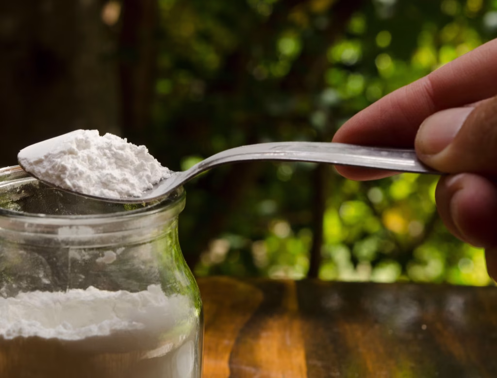 bicarbonate de soude contre les limaces