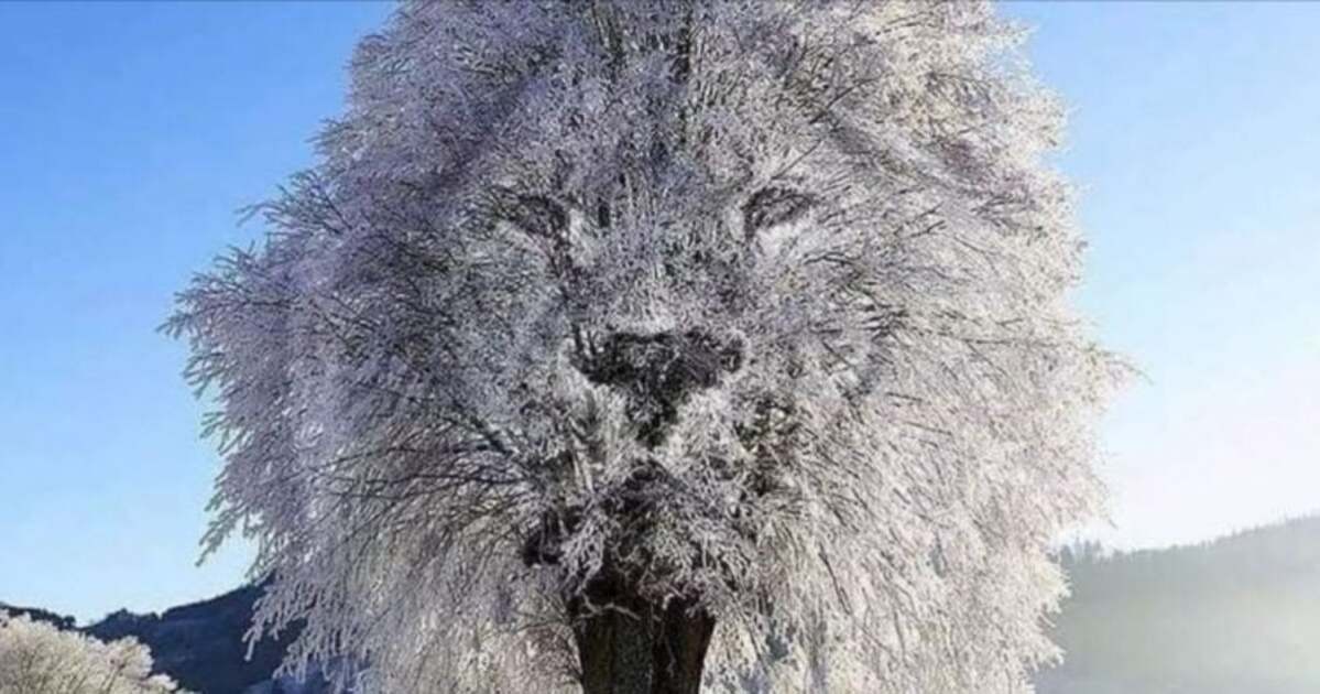 ce que vous voyez en premier sur cette photo en dit très long sur vous, selon cette experte