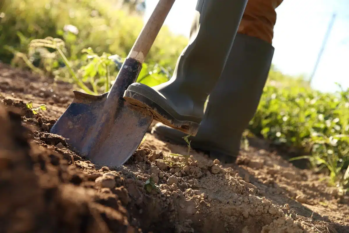 il découvre une collection d'objets vieille de 100 ans dans son jardin, et en ressort avec une petite fortune