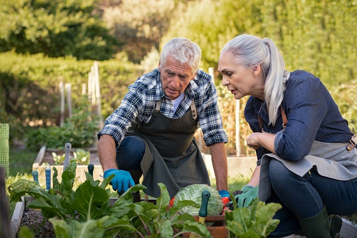 jardinage attention, cette nouvelle obligation méconnue peut vous coûter cher si vous ne la respectez pas