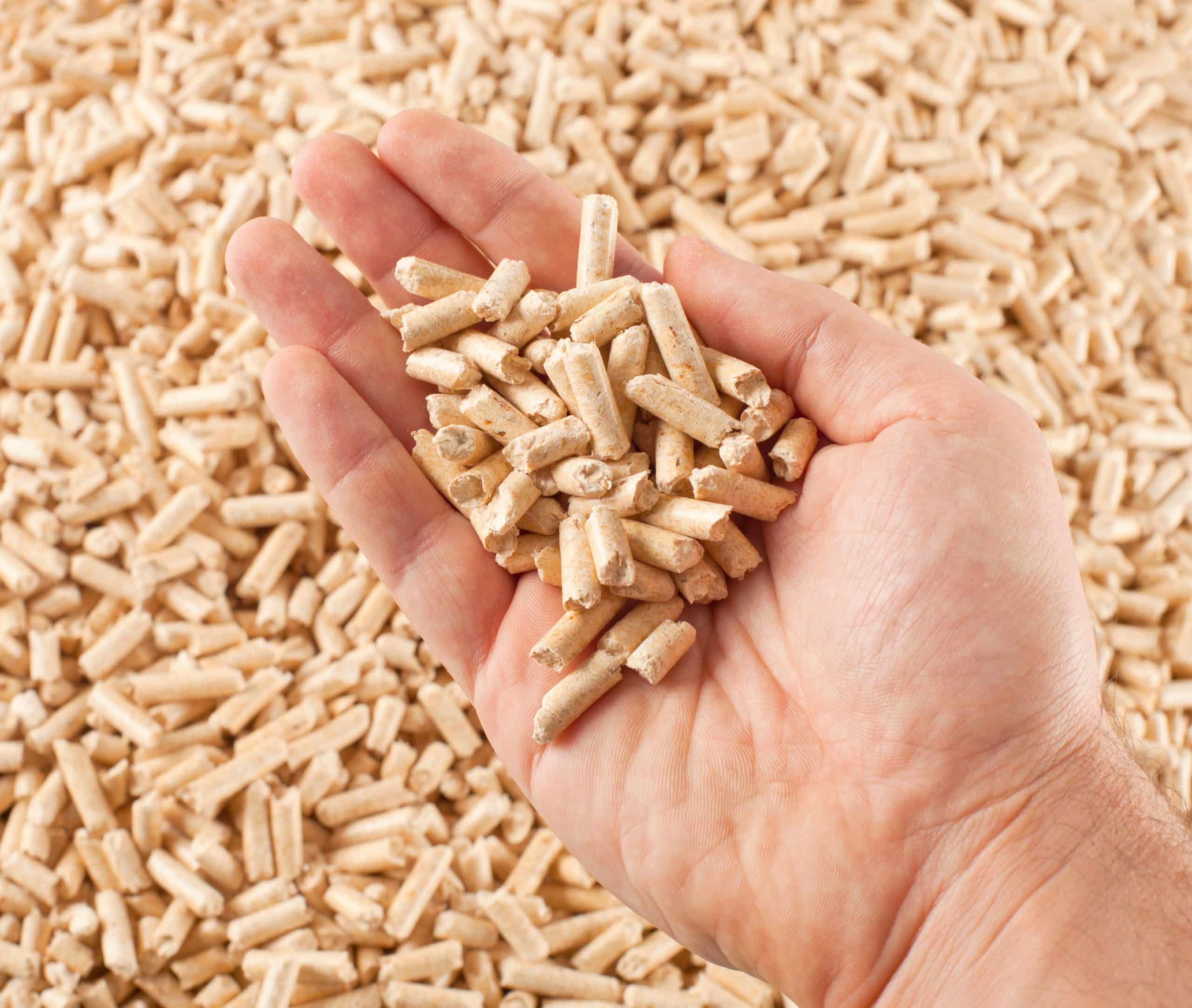 Leclerc : énorme promotion sur le prix des sacs de pellets, plus que 2 jours pour en profiter