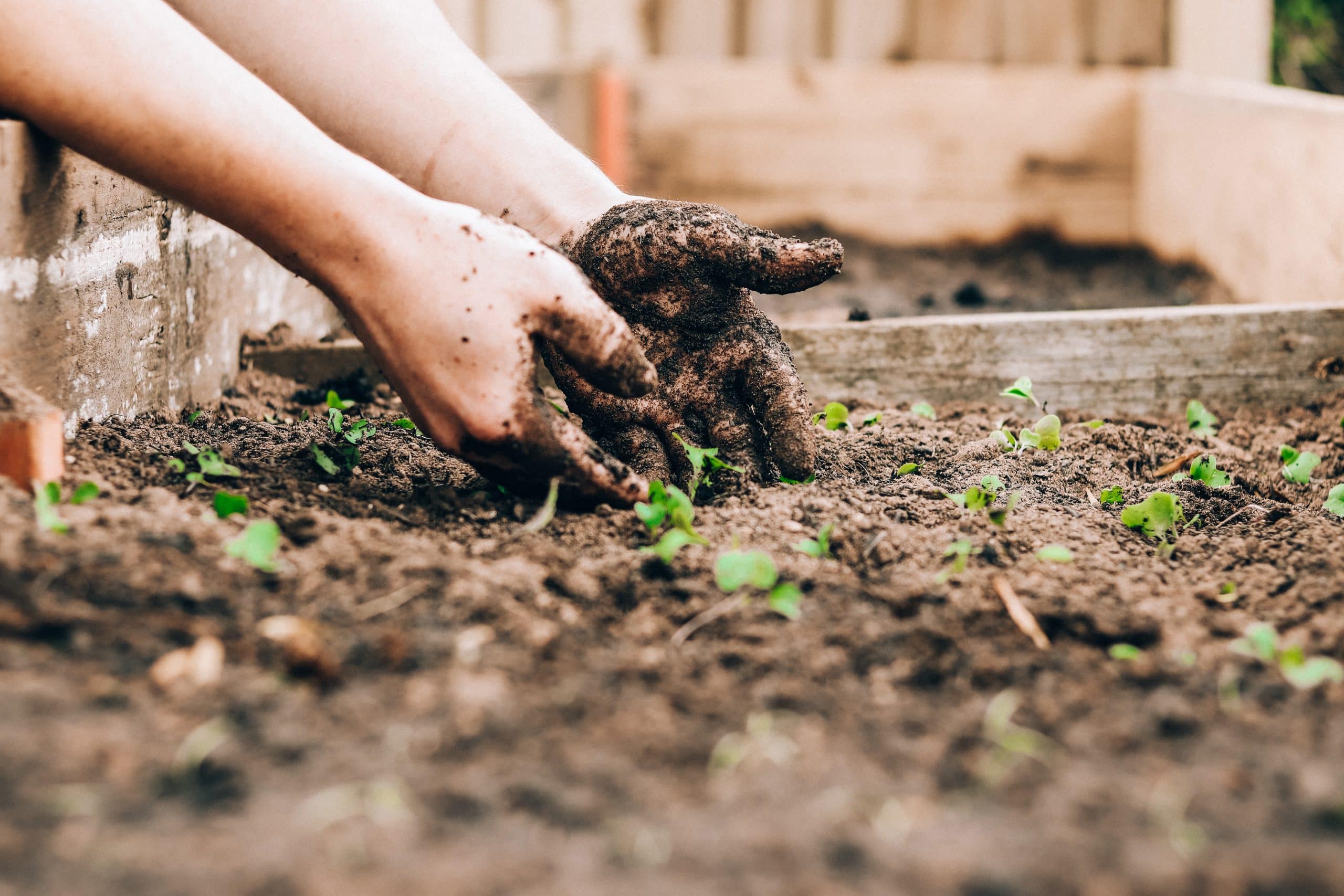 les astuces pour avoir un meilleur sol au jardin
