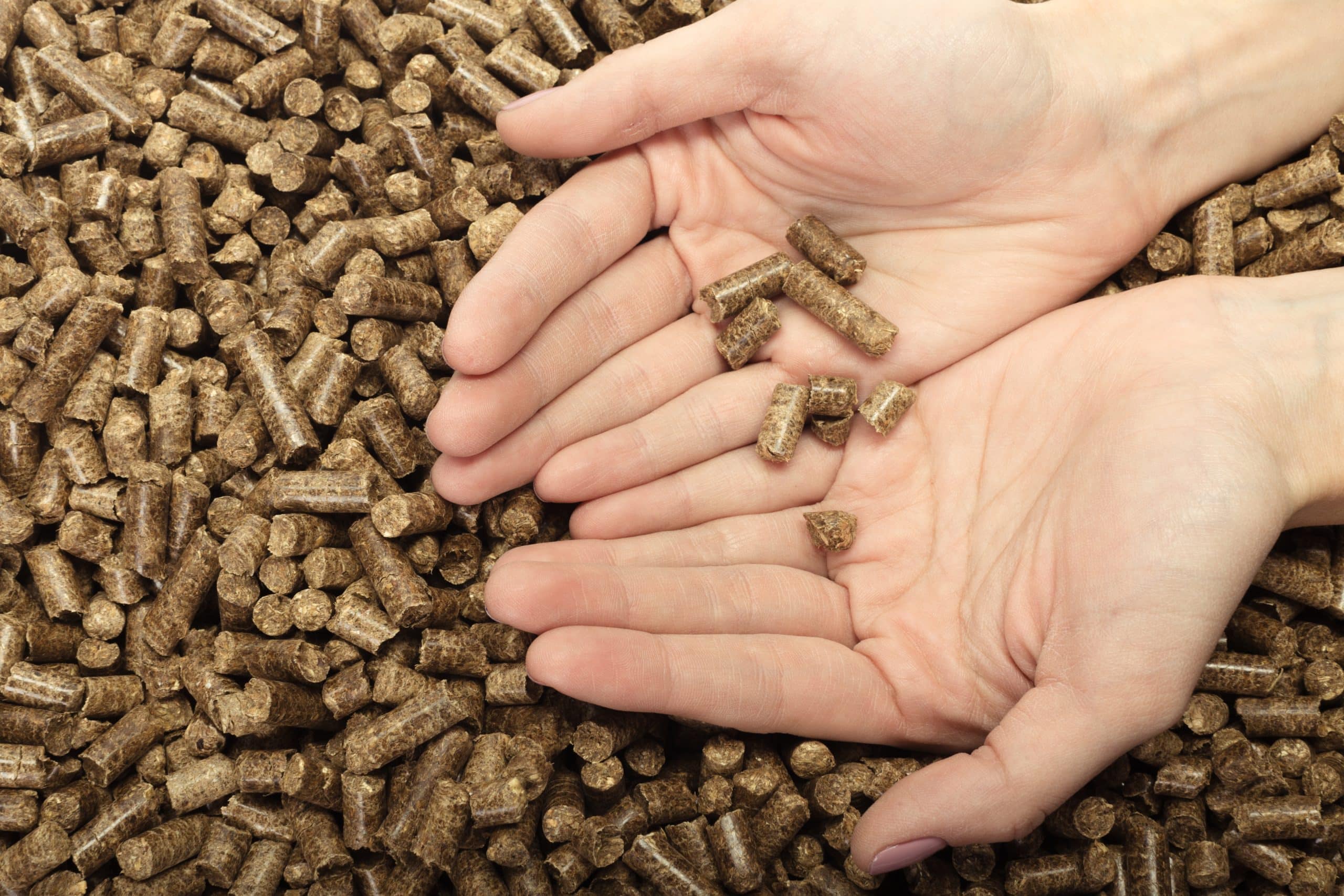 Les inconvénients des pellets sur lesquels vendeurs et installateurs préfèrent ne pas s’attarder