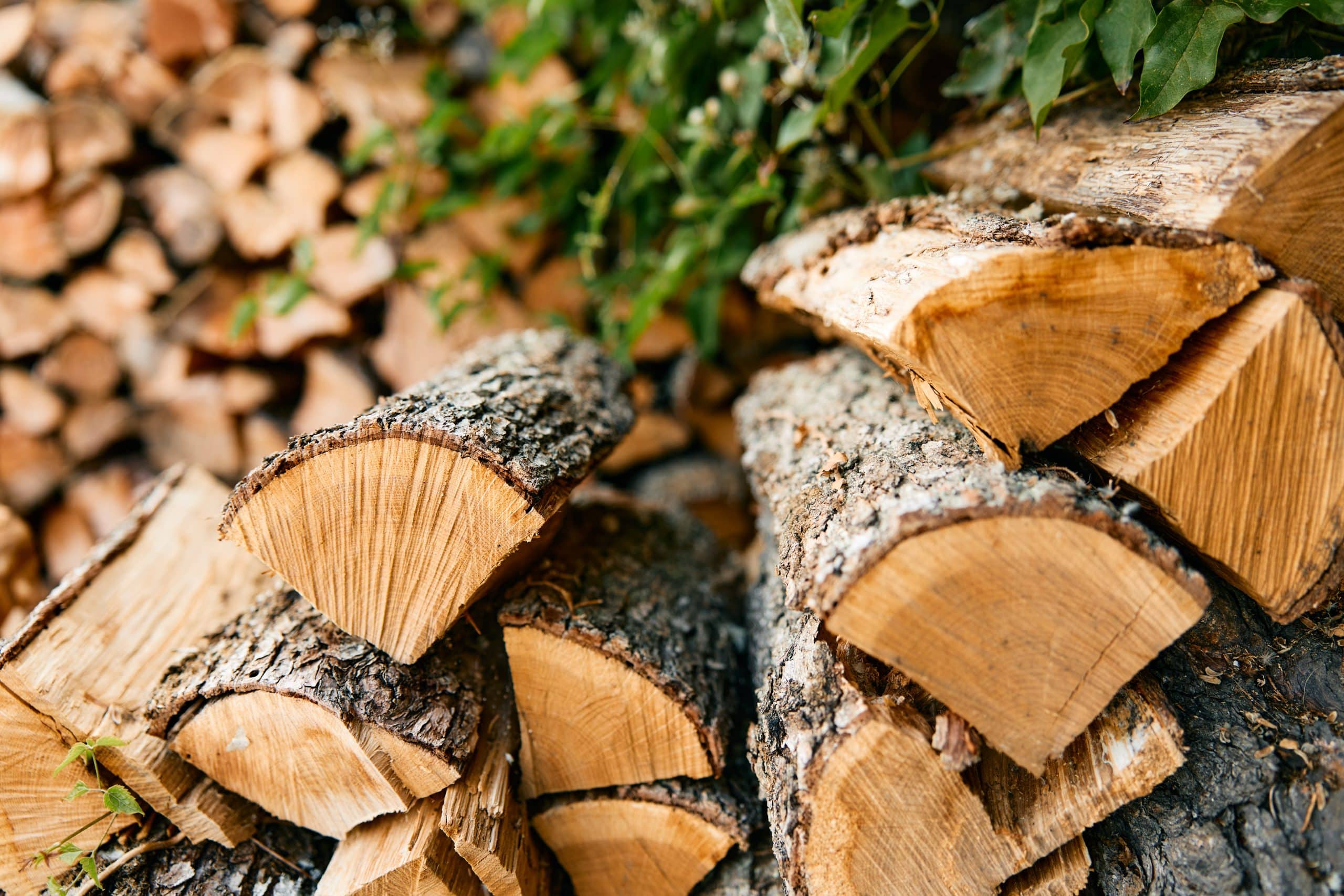 Prix d'un stère de bois en 50 cm en février 2025 tarifs livré