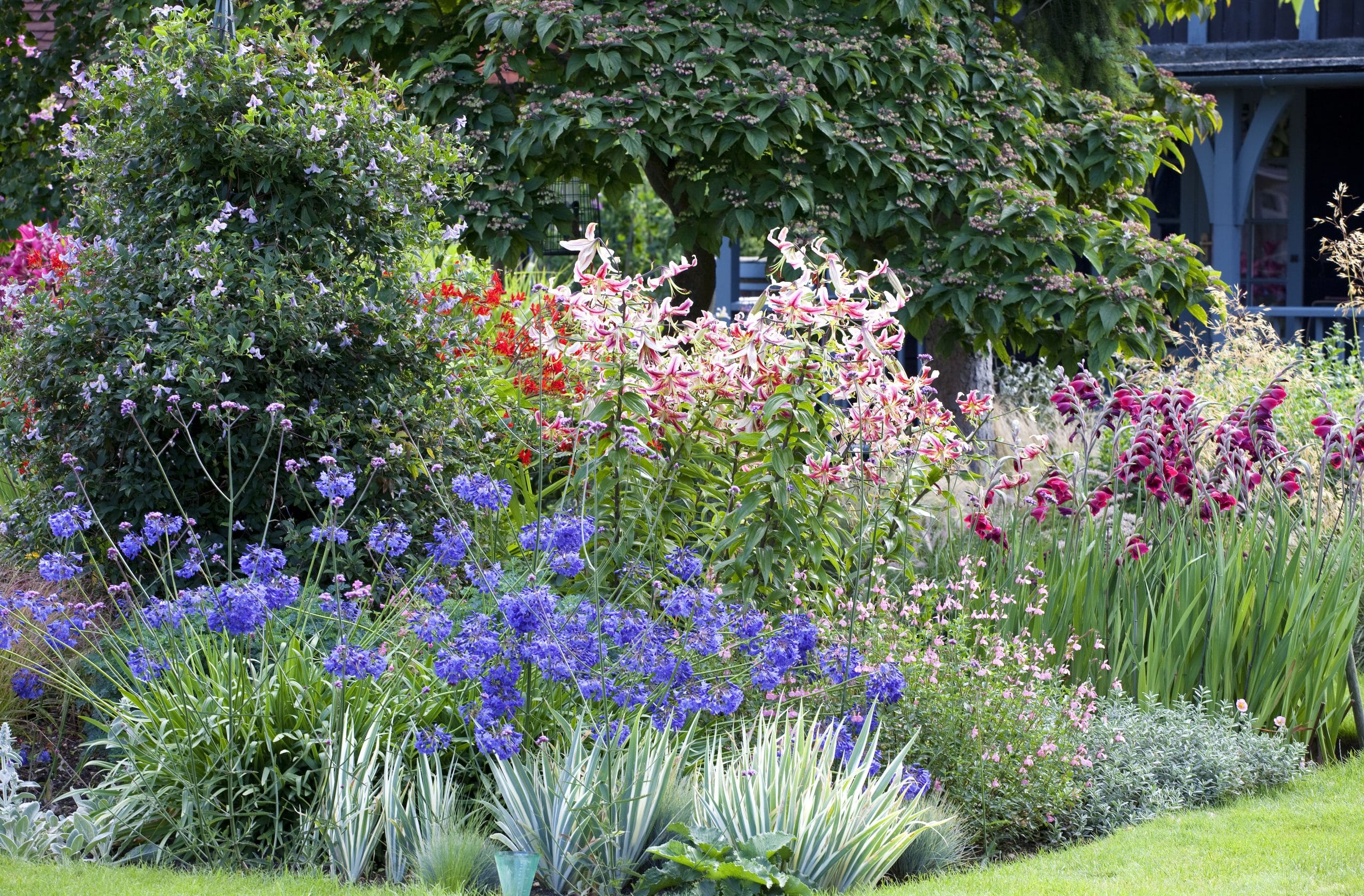Comment choisir les plantes adaptées à votre jardin ?