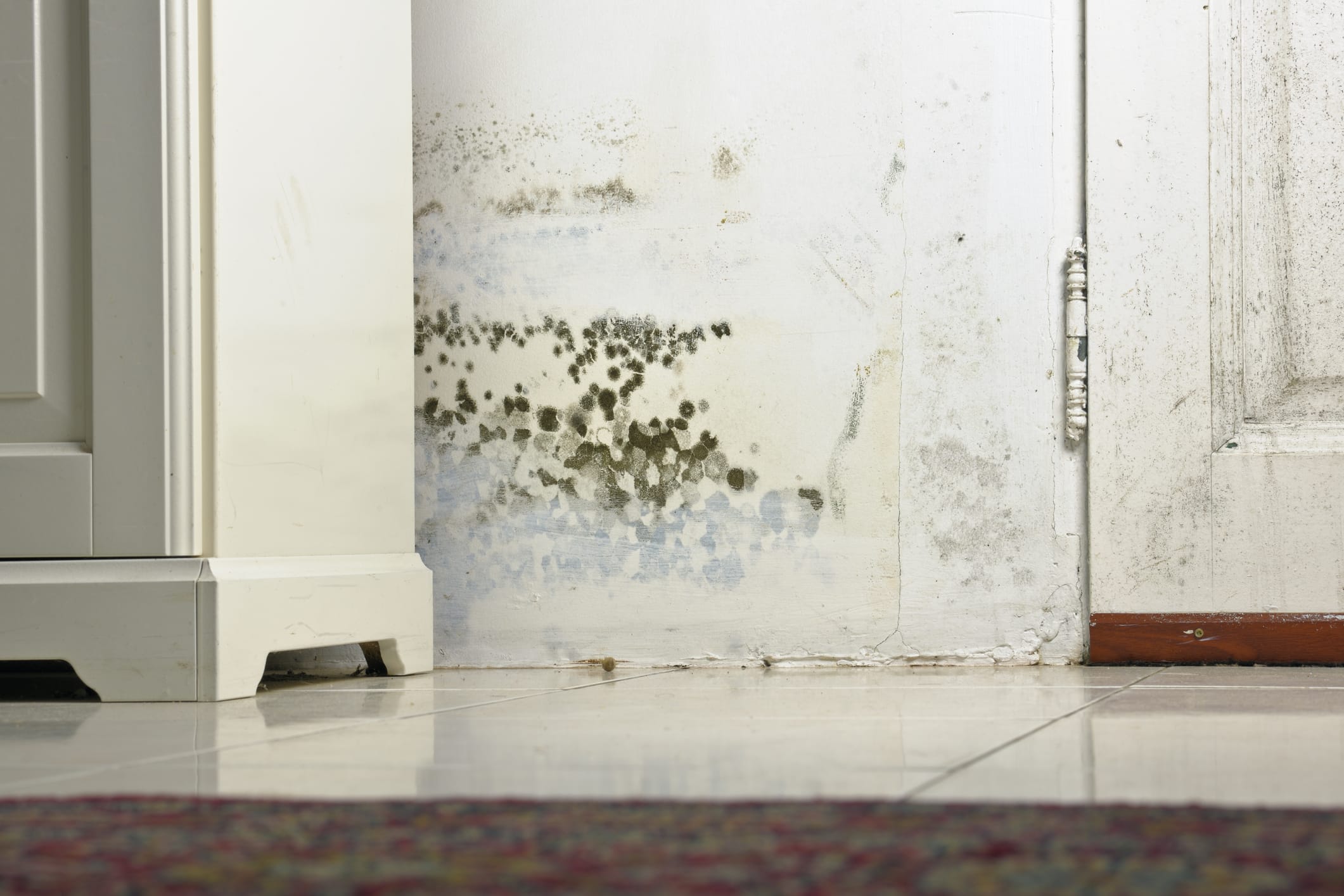 mold mould stains on damp wall and door behind cabinet