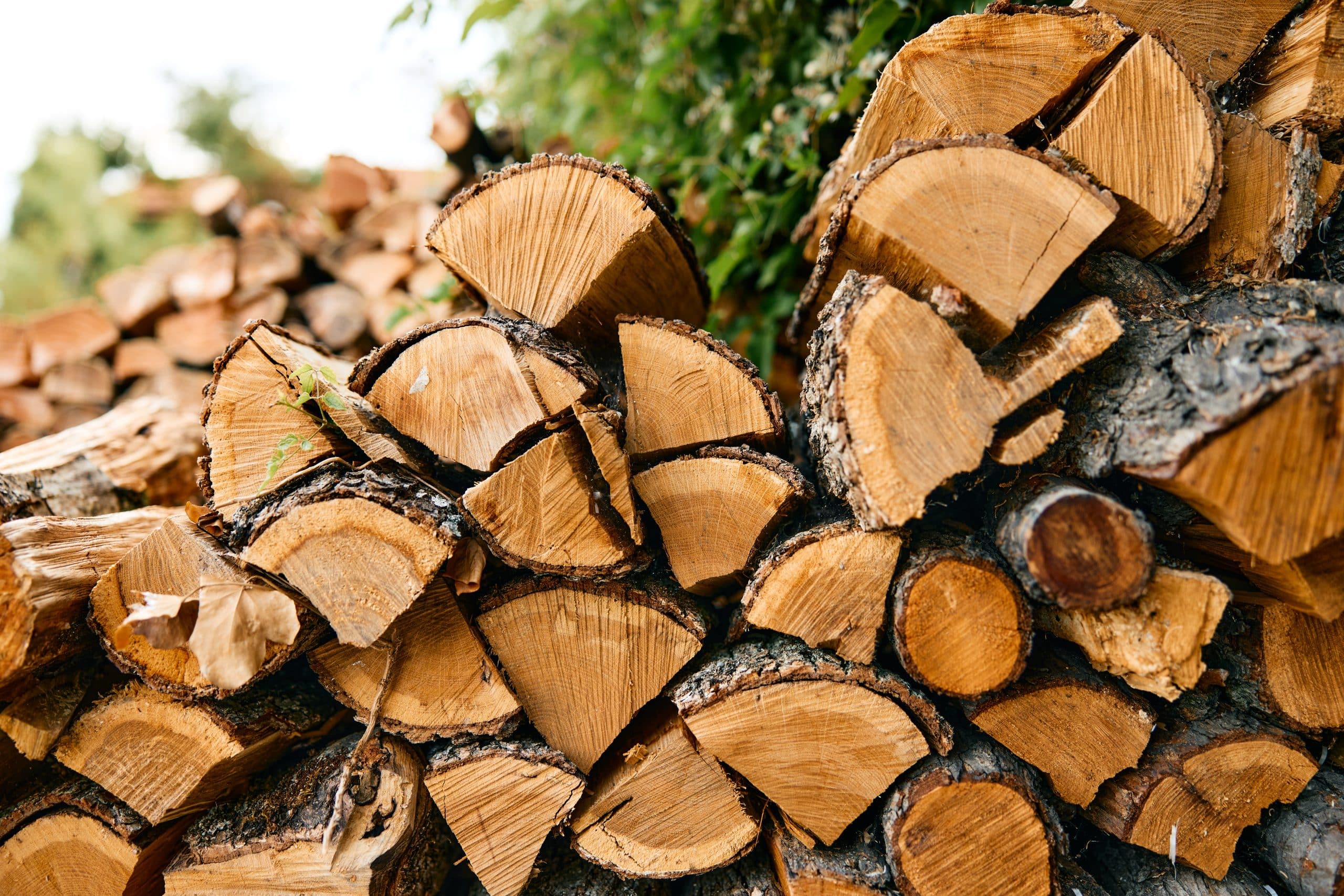 Prix d’un stère de bois en 33 cm en février 2025 Tarifs livré