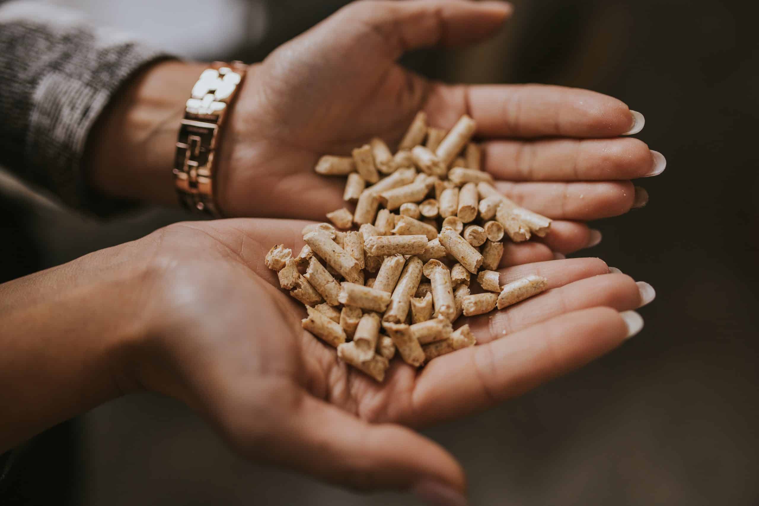 La nouvelle est tombée il ne sera désormais plus possible de se chauffer aux pellets en France à partir de cette date