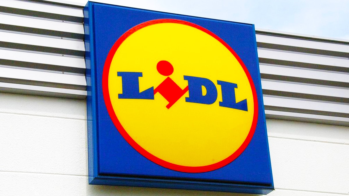lidl ce sommelier est tombé sous le charme de ces 3 bouteilles à moins de 5 euros à la foire aux vins 2025