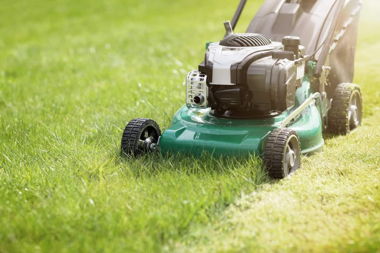 pelouse le dernier week end de mars est il le bon moment pour tondre pour la première fois après l'hiver