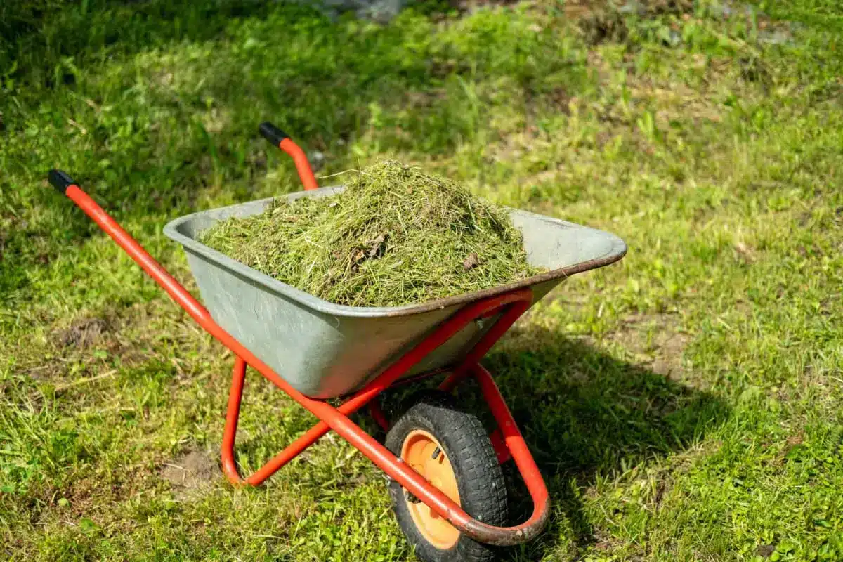 comment recycler l’herbe tondue les idées malines et écolos de mon jardinier