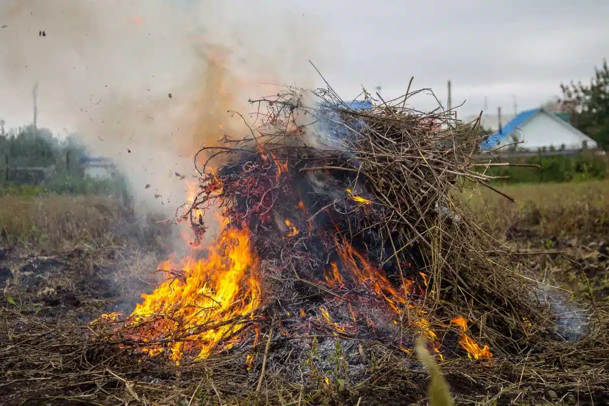 est il réellement interdit de brûler des déchets verts dans son jardin en 2025