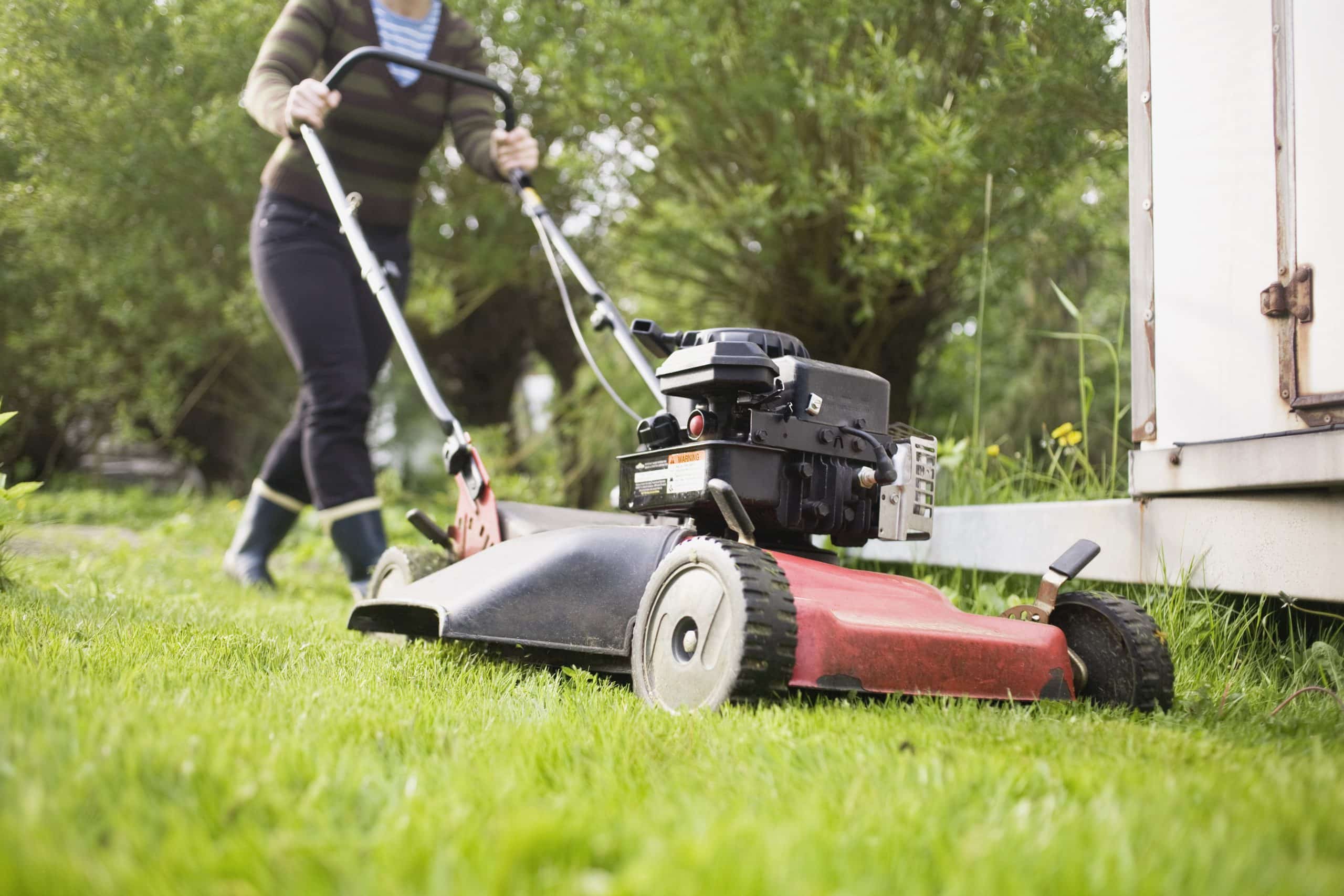 low section of woman mowing lawn