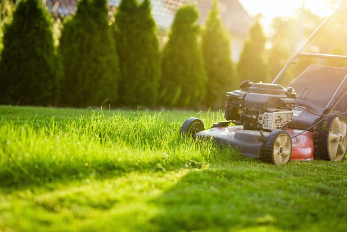 interdiction de tonte les jardiniers sont très en colère, est on obligé de laisser pousser sa pelouse
