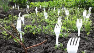plastic,forks,on,the,garden
