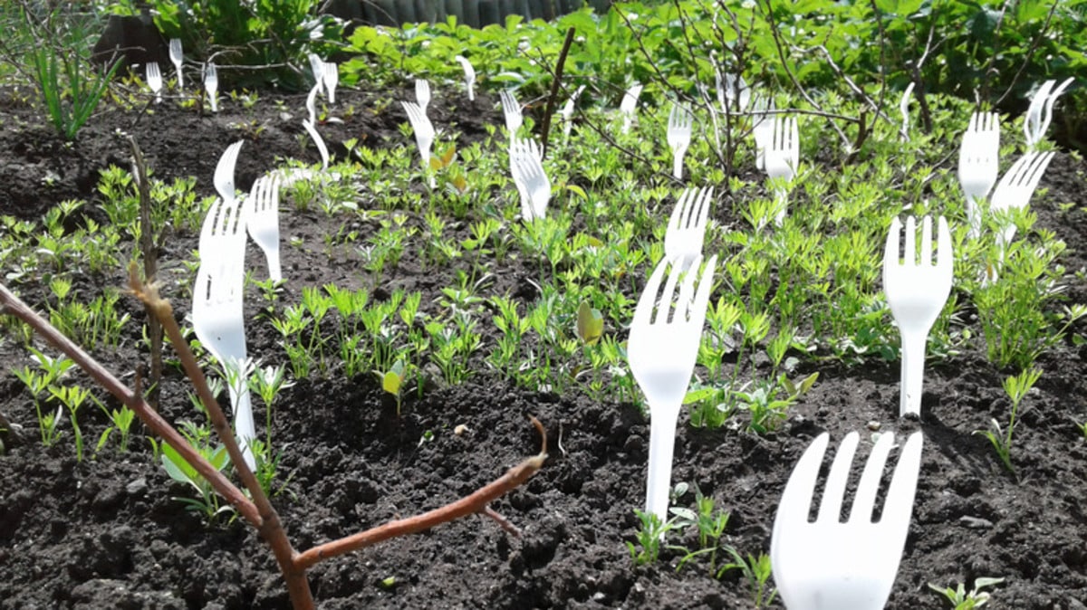 plastic,forks,on,the,garden
