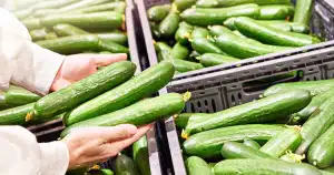 les concombres qui viennent de ce pays sont bourrés de pesticides et il ne s'agit pas de l'espagne
