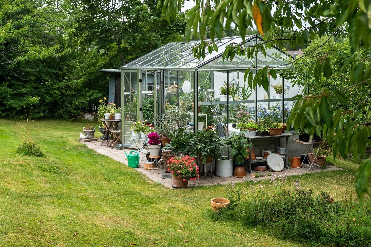 serre tunnel ou serre en verre quelle option est la meilleure pour votre potager