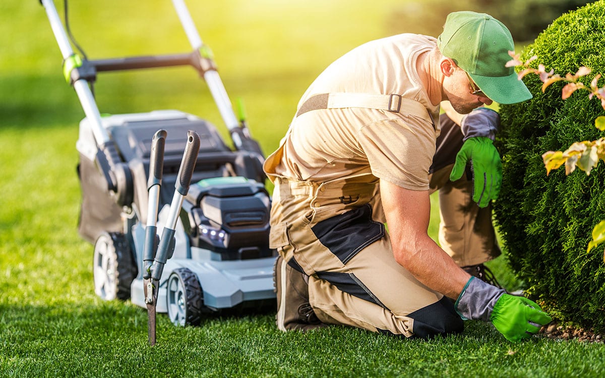 coopérative sap pour jardiniers, pourquoi adhérer
