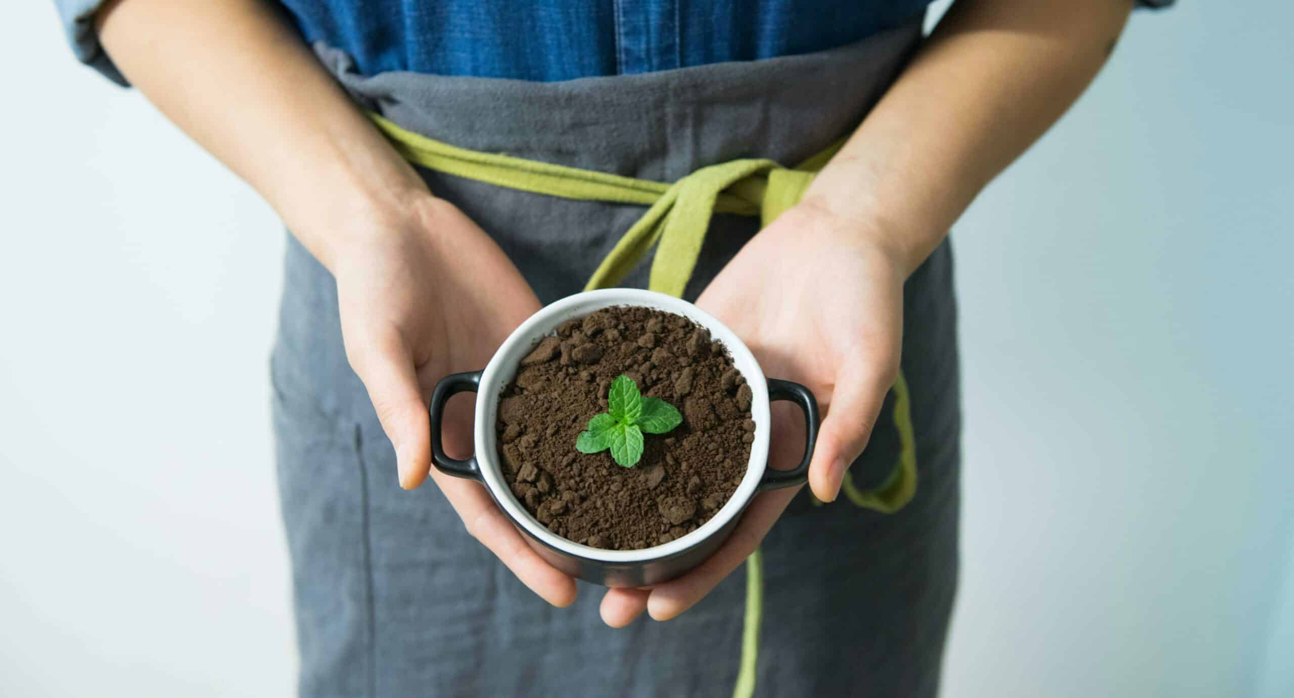 la révolution écologique dans la construction, l'acier inoxydable comme matériau d'avenir