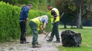 pourquoi faire appel à une coopérative pour l’entretien de vos espaces verts à domicile