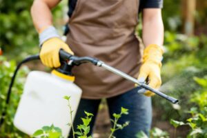 Désherber au gasoil : bonne ou mauvaise idée ?