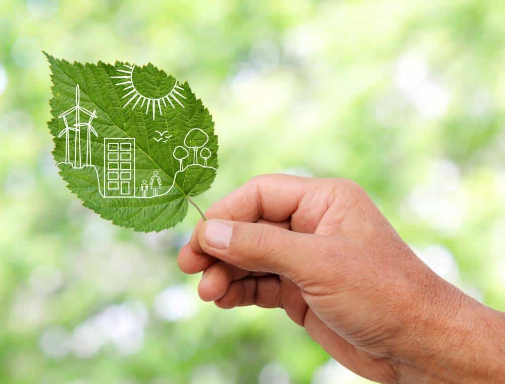 identifier fournisseur électricité verte